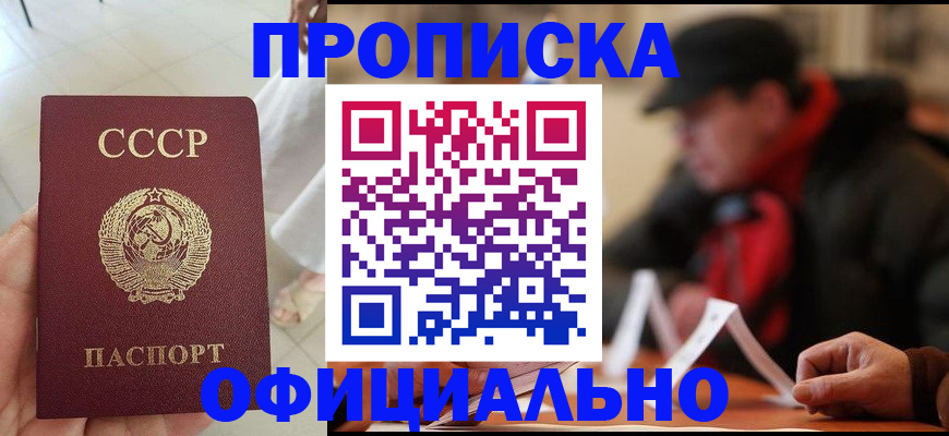 временная регистрация для школы в Дмитрове